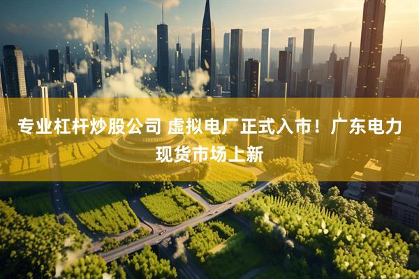 专业杠杆炒股公司 虚拟电厂正式入市！广东电力现货市场上新